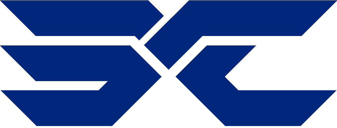 BodyCar Logo